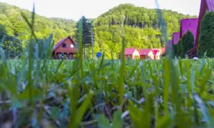 Bieszczady: Noclegi dopasowane do Ciebie. Góry, jezioro czy cisza?