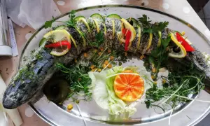 Gdzie zjeść w Mrągowie? TOP miejsca i smaki Mazur na każdą kieszeń