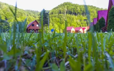 Bieszczady: Noclegi dopasowane do Ciebie. Góry, jezioro czy cisza?