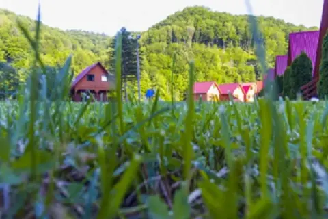 Bieszczady: Noclegi dopasowane do Ciebie. Góry, jezioro czy cisza?