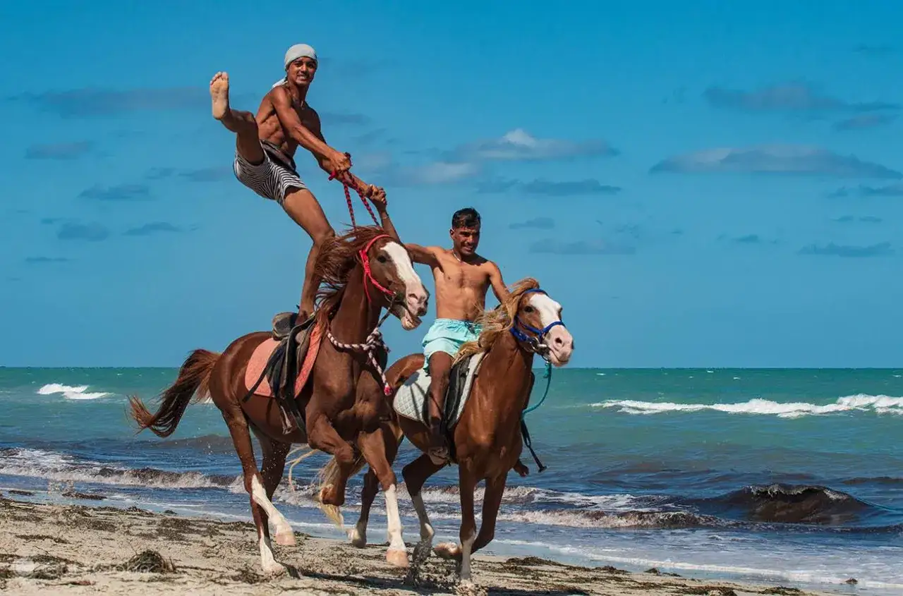 Djerba flamingi Ras Rmel