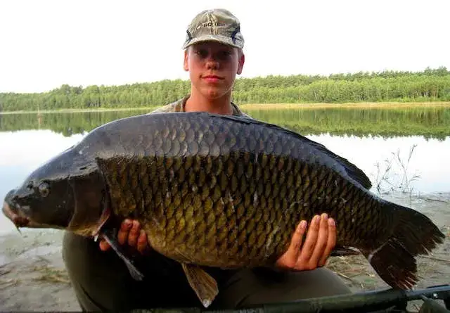 wędkarstwo Jezioro Łąkie ryby