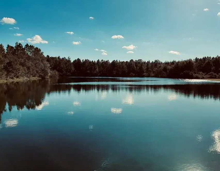 Pojezierze Łęczyńsko-Włodawskie krajobrazy jeziorne